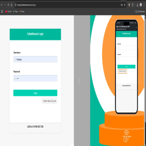 Portfolio Project